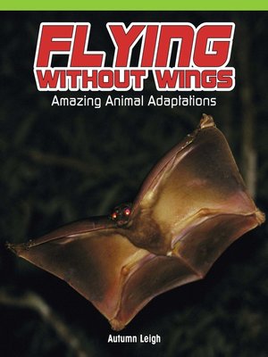 cover image of Flying Without Wings